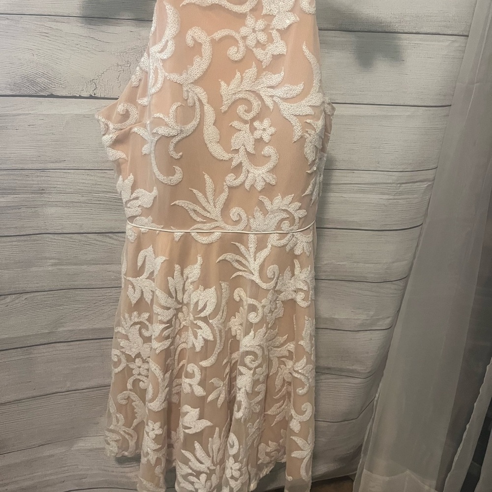 Jodi Kristopher Lace Dress in Cream and Tan
